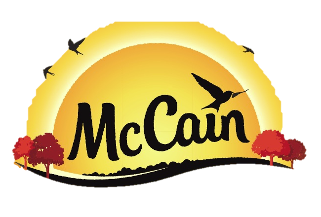 logo da mccain